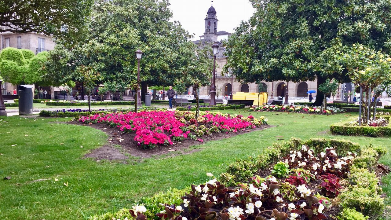 Cuatro nuevas especies de flores entre las 17.000 plantadas en los jardines