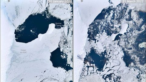 Una plataforma de hielo de 1.200 kilómetros cuadrados se desprendió hace unos días en el este del continente desintegrándose en miles de icebergs que están a la deriva