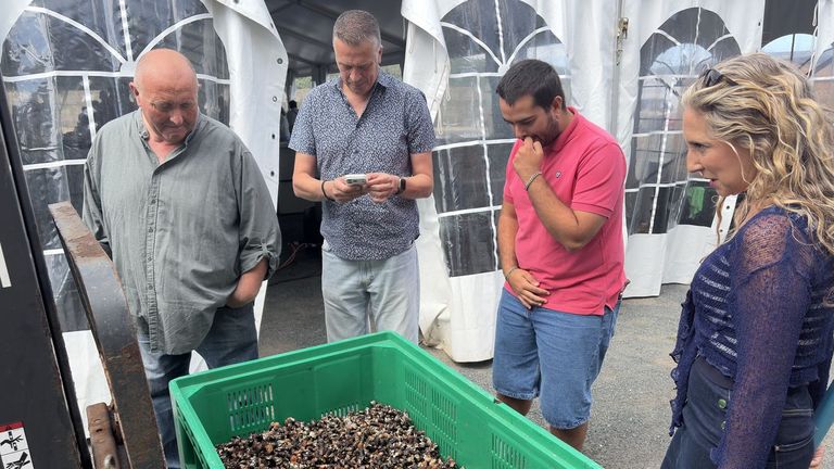 La Festa do Percebe de Cedeira destaca la calidad del producto