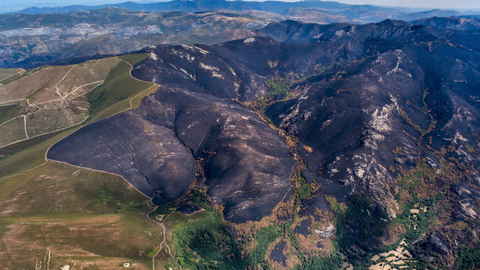 Pena Trevinca, Serra do Eixe y Segundeira, entre Ourense y Zamora. Es el techo de Galicia y de la provincia de Zamora. El fuego ha calcinado zonas de alto valor ambiental de la Red Natura 2000.