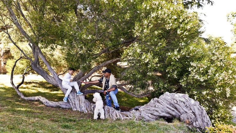 El árbol más fotografiado de O Castro vuelve a florecer