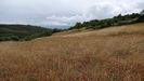 La pradeera de Vilardevós que el año pasado produjo 12 rollos de hierba seca tal y como estaba ayer
