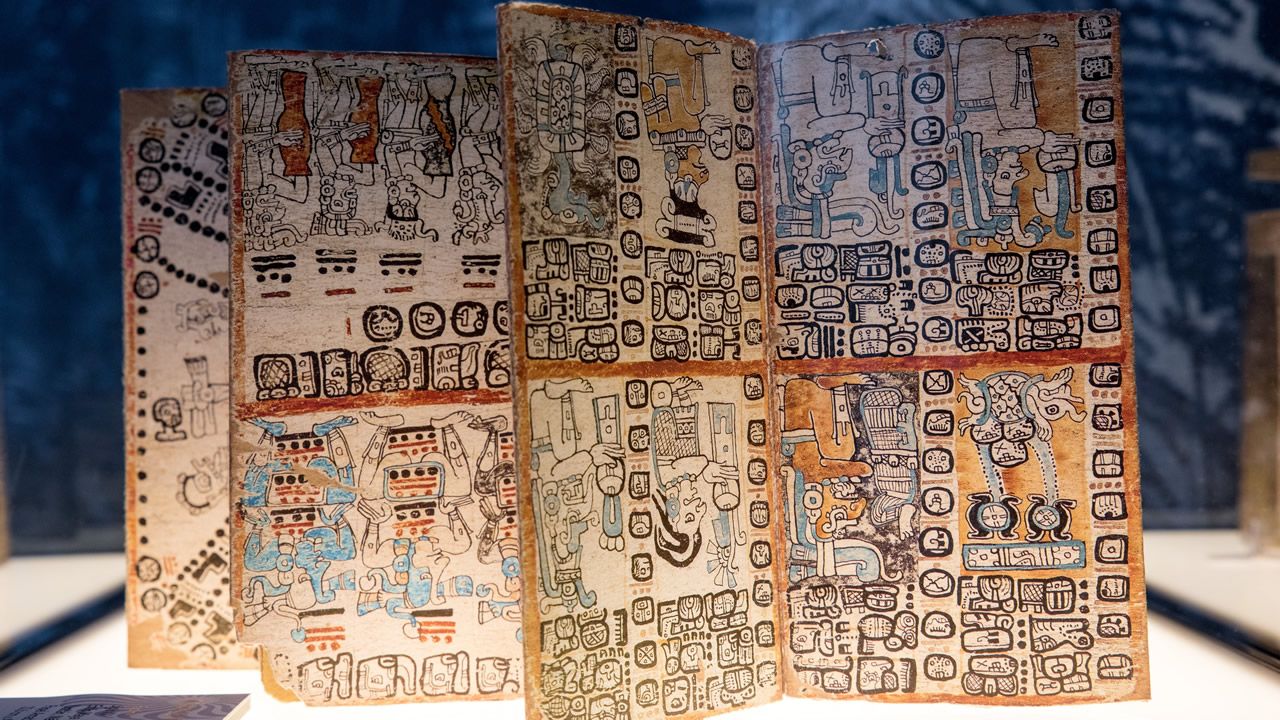 El pato criollo que vigilaba el �paseo del colesterol�