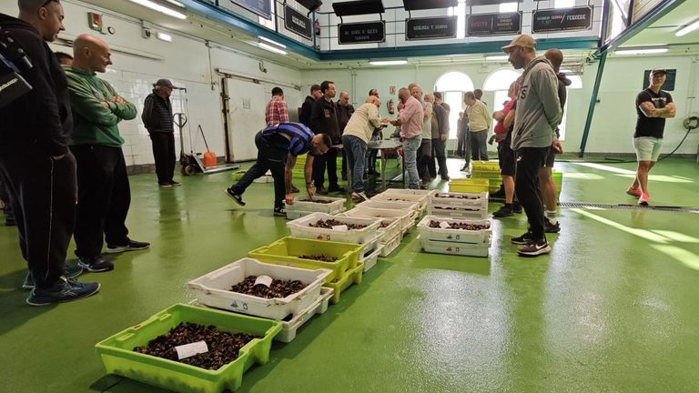 Puerto de Vega celebra su premio al mejor percebe del mundo