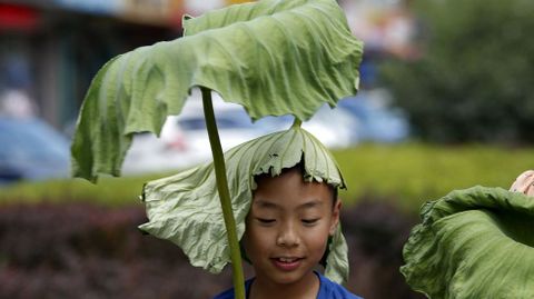 Un nio con hojas de loto para protegerse del sol en Pekn.
