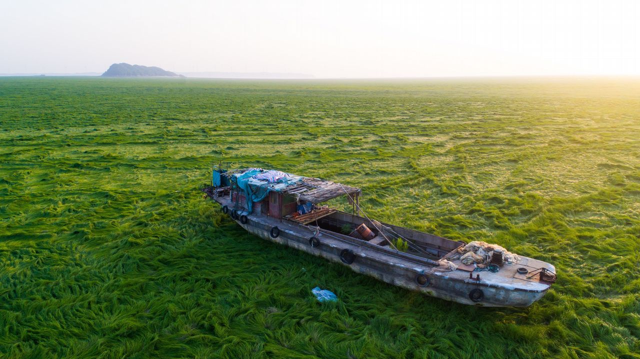El lago Poyang en China se ha convertido en una pradera