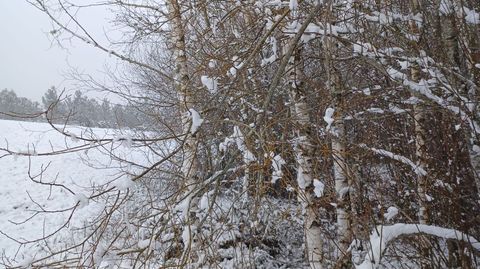 Nieve en el Alto do Vieiro.