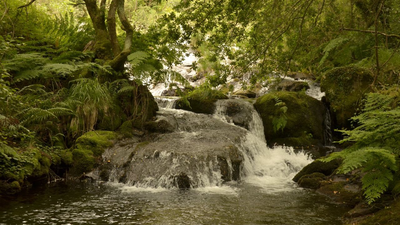 LBUM: La ruta da Marronda en imgenes.Plaza de Azcrraga de A Corua