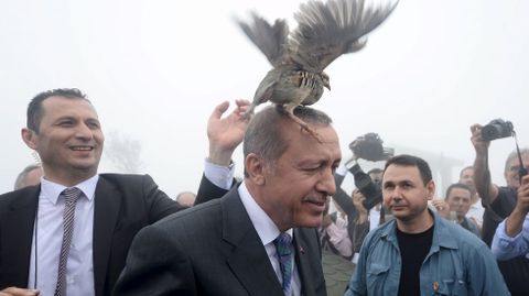 Un pjaro se posa sobre la cabeza del presidente turco, Tayyio Erdogan. 14 de agosto.