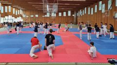 Las instalaciones de Manzaneda sirven para preparar las próximas competiciones del taekuondo internacional