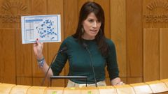 La conselleira de Vivenda e Planificación de Infraestruturas, María Martínez Allegue, este martes en el Parlamento
