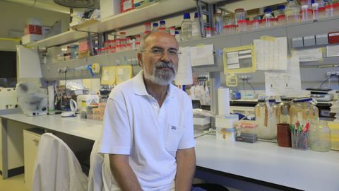 Carlos Diéguez es el director científico del Cimus ( Centro de Investigación en Medicina Molecular y Enfermedades Crónicas, de la Universidad de Santiago)