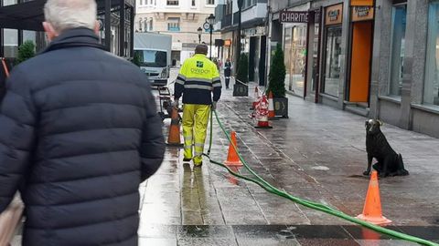 Borrado del carril bici de Oviedo