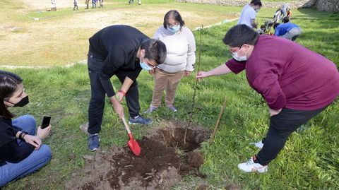 Plantacin en Nantn (Cabana)