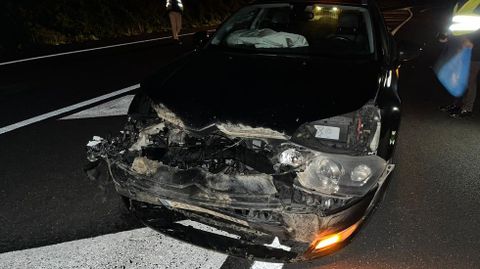 La parte frontal del coche particular del presidente de la Diputación de Lugo quedó destrozado por el impacto con el jabalí