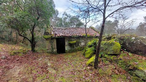 Ruta de Vilameá, en el parque natural de la Serra do Xurés.