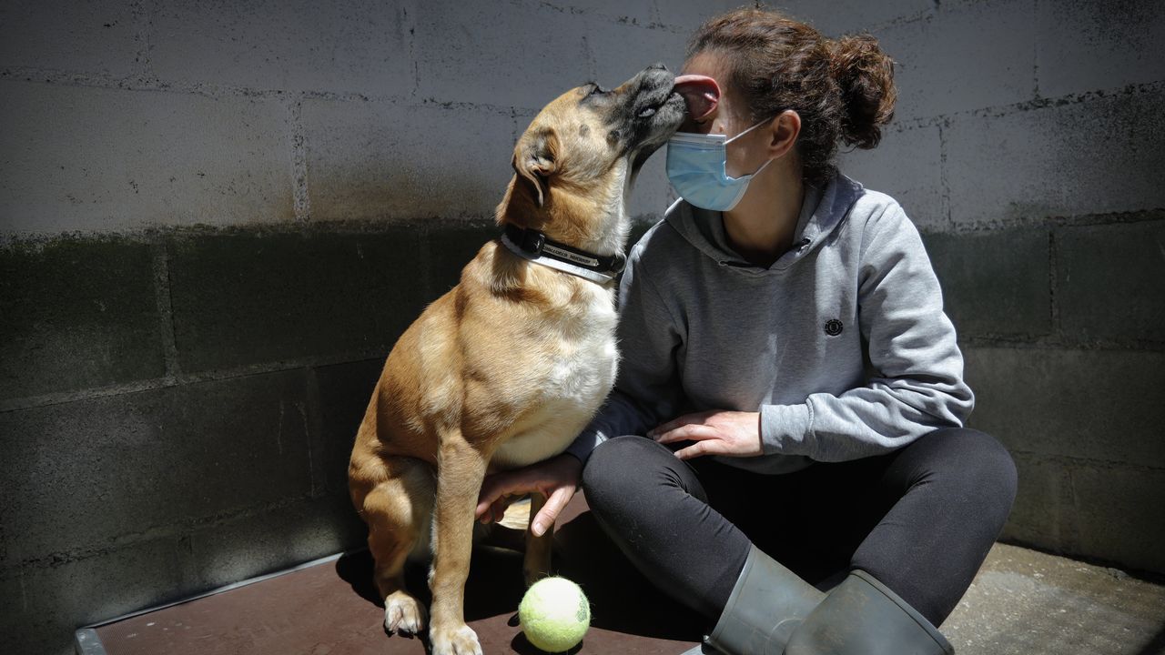 Apadan, en Culleredo, es una de las protectoras que hay repartidas por el �rea metropolitana