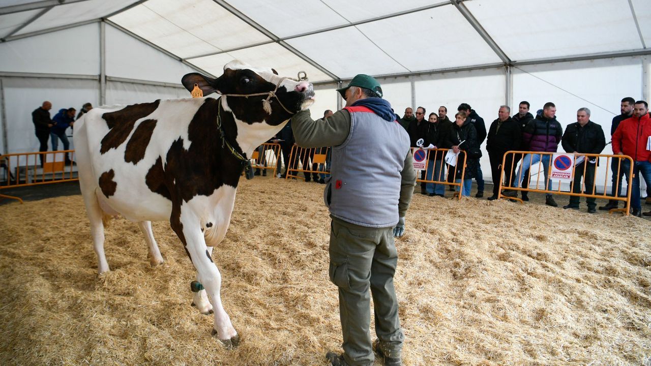 Manuel Pieiro, a la derecha, con su padre, Csar, y su hija, ayer en la Feira de Antigidades e Artesana de A Pontenova