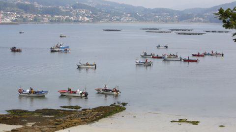 Embarcaciones del marisqueo a flote junto a la playa Area Grande da Illa de Tambo