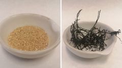 Restos de mimosa y alga de alambre japonesa empleados por los investigadores del proyecto Biososinv