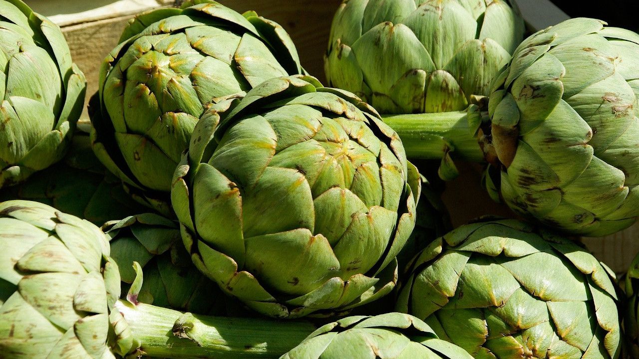Alcachofas