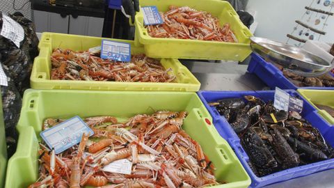 Así lucían las cigalas frescas que vendía una pescadería este miércoles en el mercado de A Magdalena, en Ferrol
