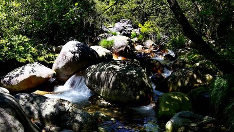 El parque natural de Xurs an la Baixa Limia ourensana, combina el agua con las caprichosas formas del granito, que predomina en el paisaje. Su alto valor ecolgico ha valido el reconocimiento de la Unesco como reserva de la biosfera