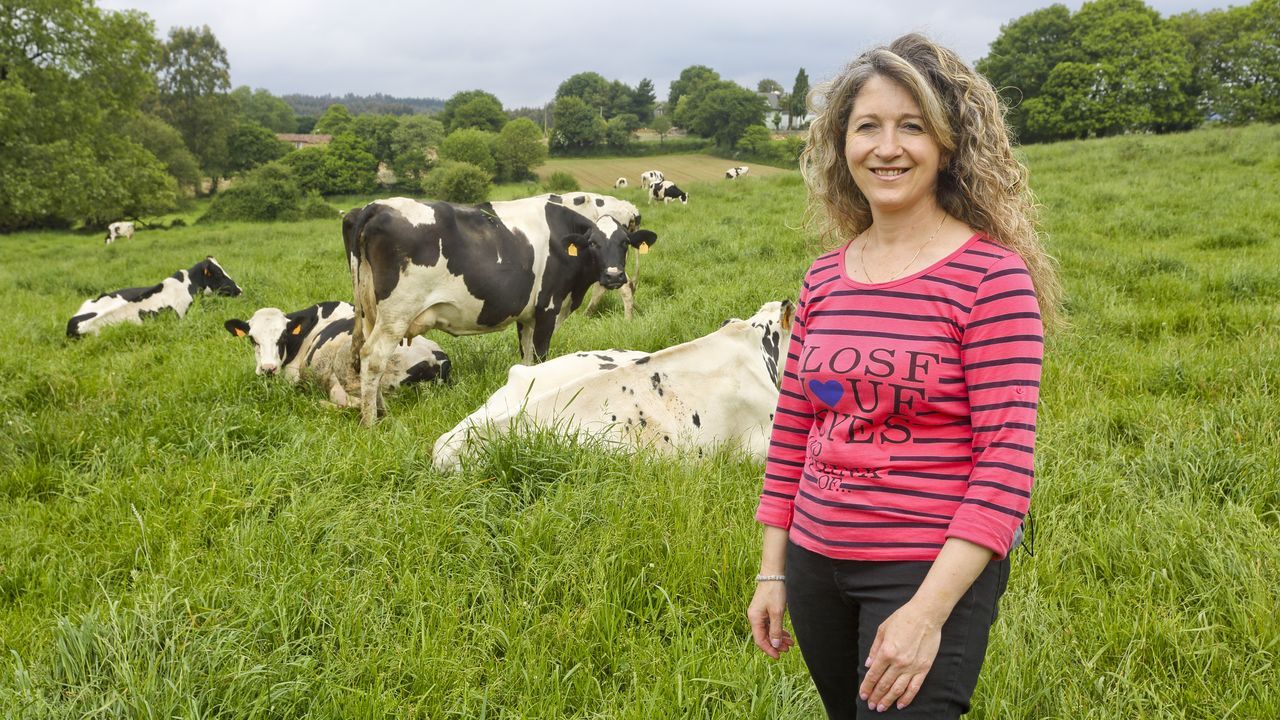 As� se transformar� el n�mero 26 de la calle Ervedelo en Ourense.Entre las novedades en la comarca de Terra de Melide, est�n la reapertura al ba�o en el r�o Furelos, que ya recibi� a sus primeros visitantes este a�o (en la imagen); y la ampliaci�n de la zona de ba�o libre de A Cornella, dotada de nuevo mobiliario, parque infantil y pista multideporte para este verano.