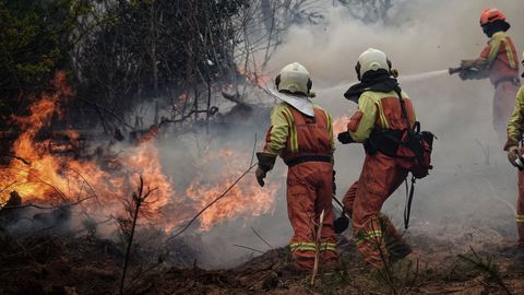 Trabajos de extincin en los incendios de Tineo y Valds