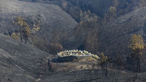 Albariza, en O Carballal, que parece haberse salvado milagrosamente