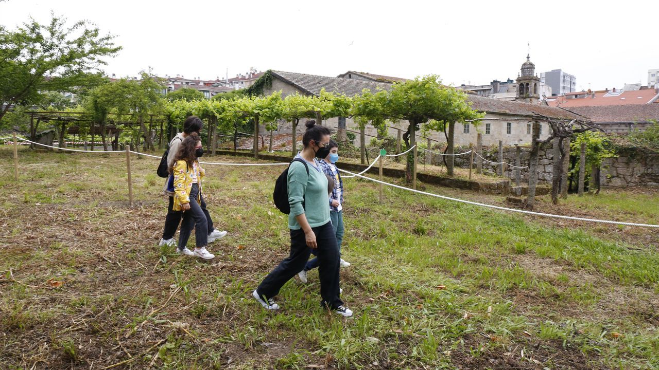 As fue la primera Festa Castrexa de A Baa.Este fin de semana hay jornadas de puertas abiertas en el antiguo convento de Santa Clara, en Pontevedra 