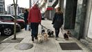Perros paseando por una calle de Oviedo. La ciudad cuenta con lugares especiales para soltarlos sin peligro