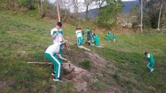 Voz Natura: alumnos de Los Sauces repoblando dos hectáreas de monte en Pontevedra