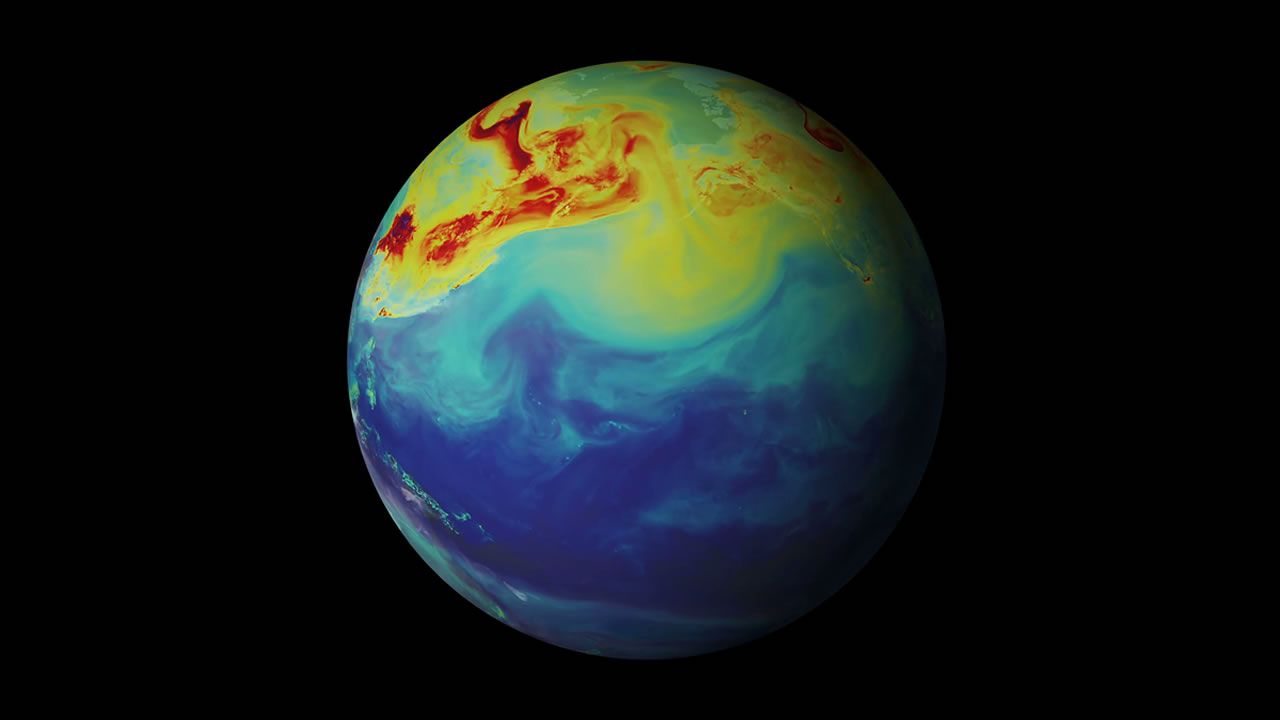 Tres aos para salvar el clima de la Tierra.Una musaraa encontrada en Santa Comba