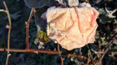 Asturias da la bienvenida a los Reyes Magos con un espectacular amanecer�escarchado