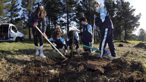 PLANTACIN DE CASTAOS POR PARTE DE ALUMNOS DE LOS COLEGIOS O GRUPO Y BAYN EN EL PARQUE PERIURBANO DE SAN ROQUE.