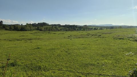Terrenos de La Belga en los que se construir� la futura ciudad deportiva del Real Oviedo