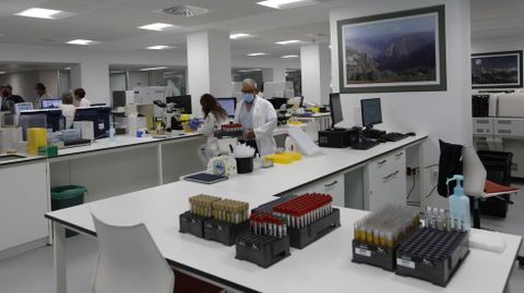 Entramos en el nuevo laboratorio central del CHUO.Cerca de 50 personas trabajan en el laboratorio del CHUO