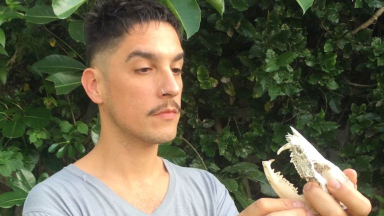 Desparasitar a Donald Trump