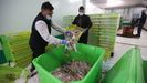 Comercializadores de la lonja de A Coruña tirando el pescado en mal estado por la huelga de transporte