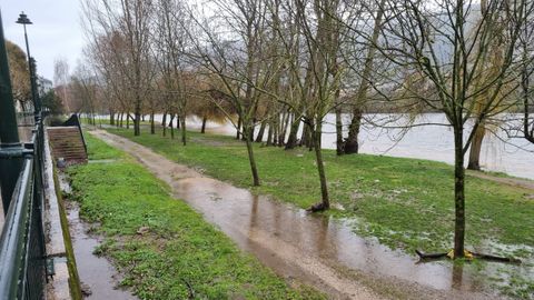 El ro Sil a su paso por O Barco de Valdeorras el jueves