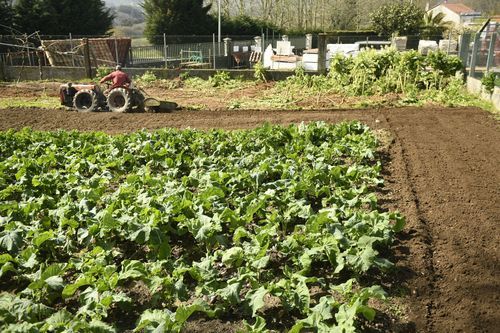 profes. Un miembro de la Armada hac�a guardia el jueves en playa B�varo, uno de los lugares m�s tur�sticos del pa�s, completamente vac�o, en Punta Cana (Rep�blica Dominicana)