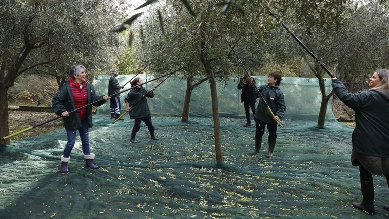 Aceites Abril, un viaje a por vino que derivó en un negocio aceitero que exporta a 65 países