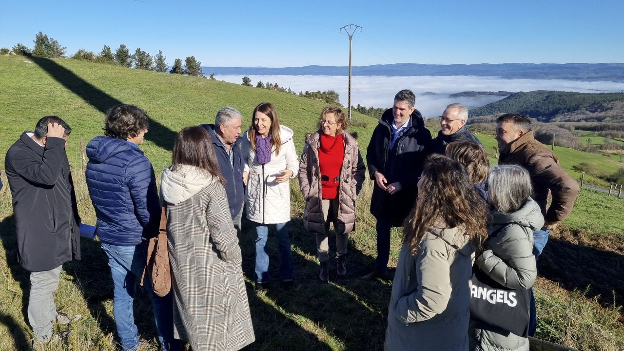 La conselleira de Medio Rural supervis este mircoles la creacin de un pastizal en Goin (Sarria)