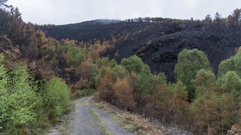 Eefctos de un incendio forestal que se produjo en la parroquia de Trascastro en abril del 2017