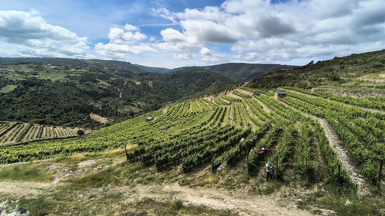 La ruta del vino de Valdeorras: una experiencia entre bodegas, viñedos y covas subterráneas