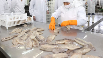 Imagen de archivo de una planta de procesado de productos pesqueros en Argentina