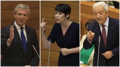 Alfonso Rueda, Ana Pontn y Luis lvarez, en la sesin de control en el Parlamento.