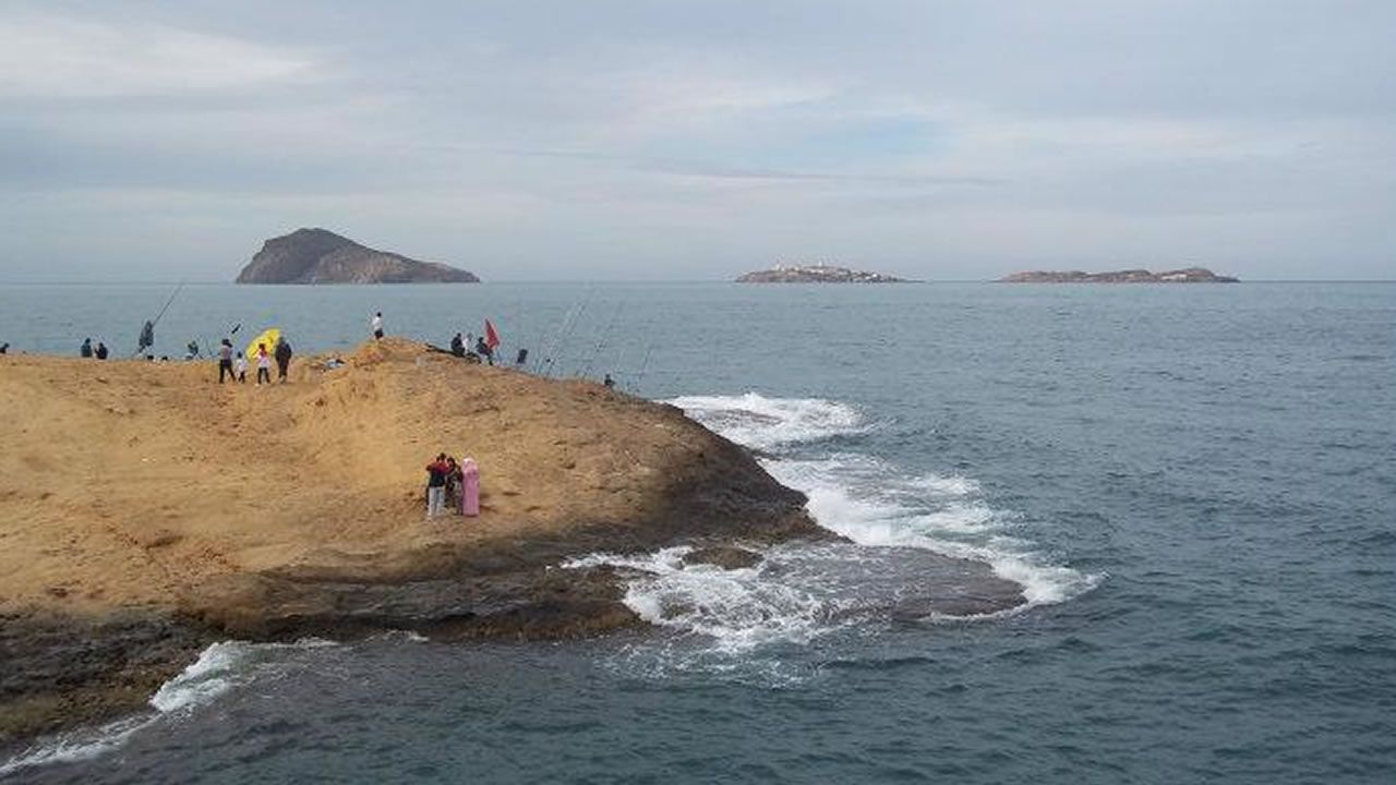 Por qu las mascotas no pueden viajar como los humanos?.Gas Natural Fenosa fue la primera compaa que empez a repotenciar sus aerogeneradores. En el paraje de cabo Viln, el primer
parque elico de Galicia, los 22 molinos han sido sustituidos por dos. En la imagen, las obras de inicio de la transformacin