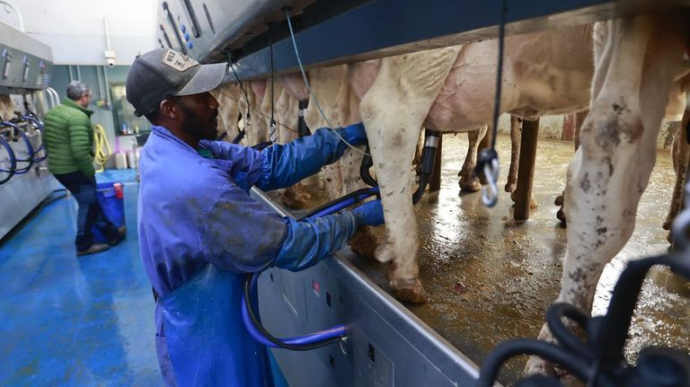 Seis de cada diez empleos creados en Galicia los cubren trabajadores foráneos